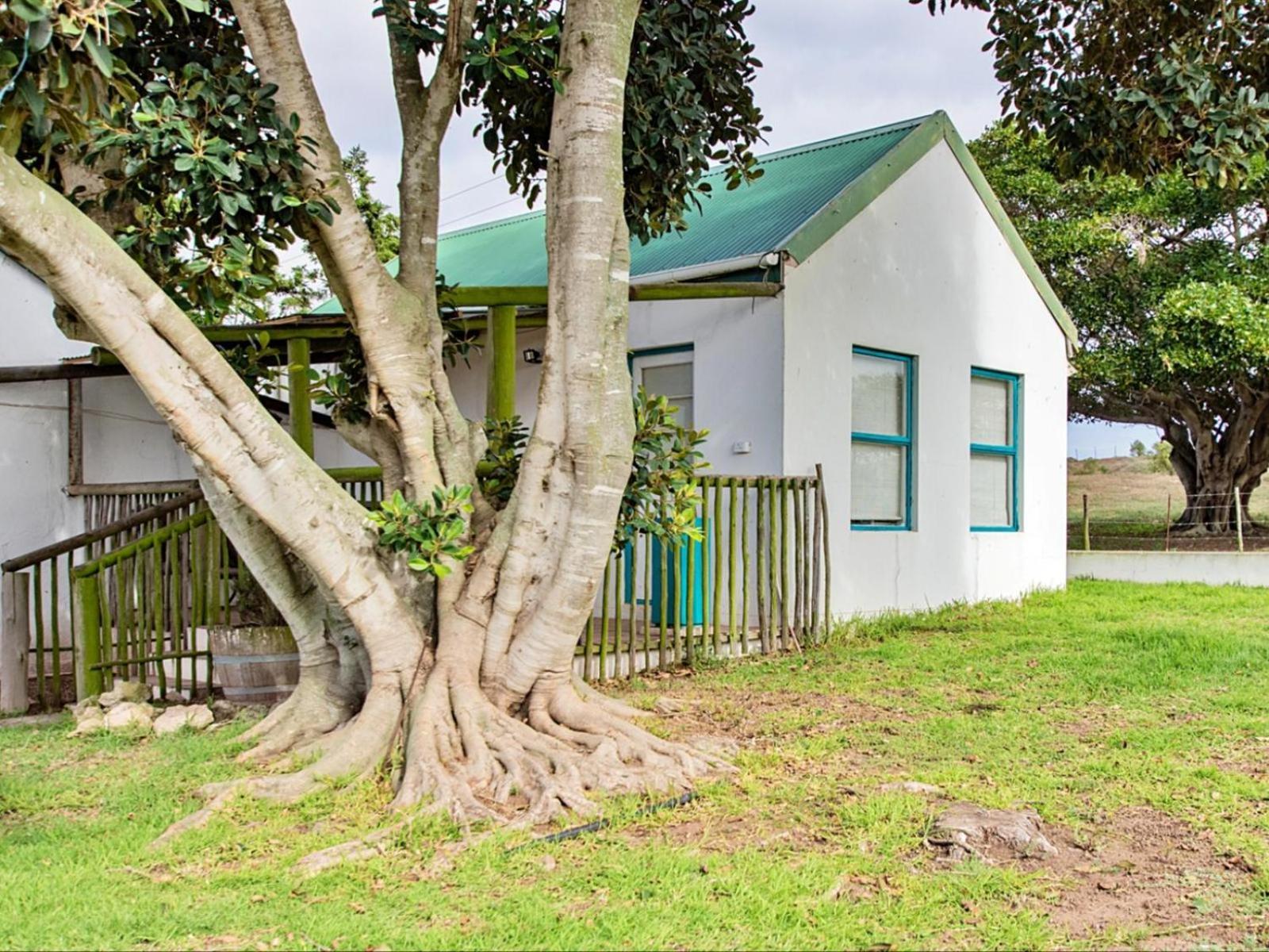 Wiggins Self Catering Διαμέρισμα Jacobs Bay Εξωτερικό φωτογραφία