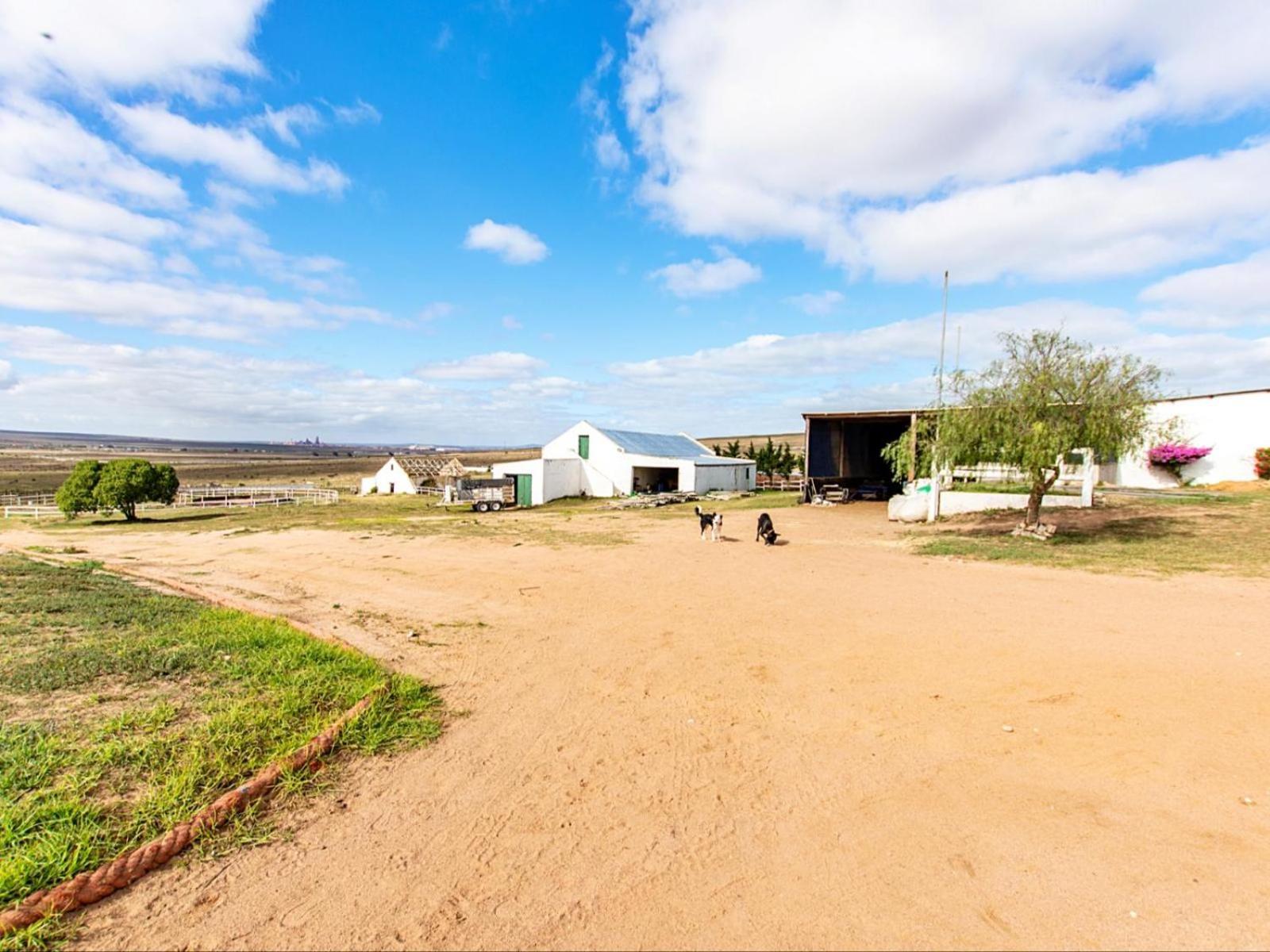 Wiggins Self Catering Διαμέρισμα Jacobs Bay Εξωτερικό φωτογραφία